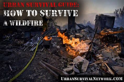 Survival Guide How To Survive A Wildfire Urban Survival Network