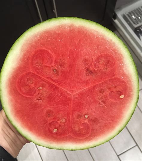 The Symmetry Of This Watermelon Mildlyinteresting