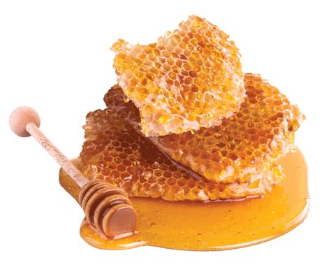 Bee Honey Png Clipart Png Mart