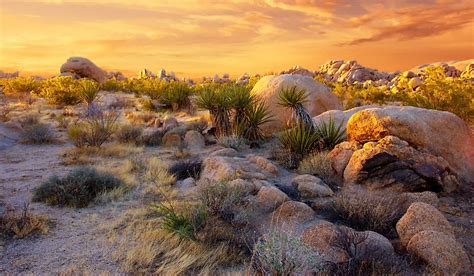 The Mojave Desert Worldatlas