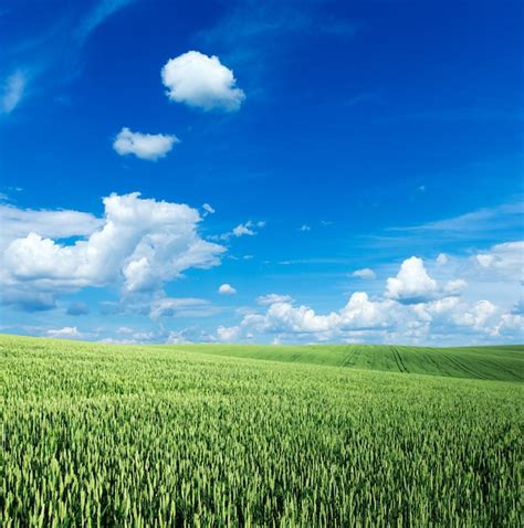 Premium Photo Green Field And Blue Sky