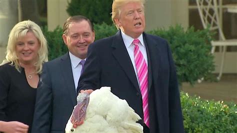 president trump pardons thanksgiving turkey fox news video