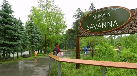 Seneca Park Zoo Expansion Youtube