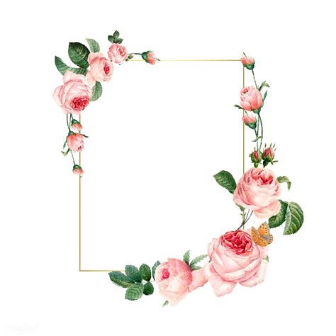 Blank Rectangle Pink Roses Frame On White Background Vector Free