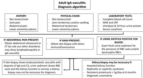 Suggested Algorithm For Diagnosis Of Iga Vasculitis In Adults