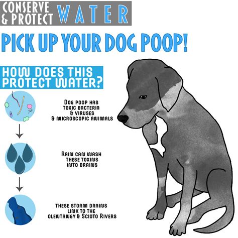 Pick Up Dog Poop Pup — Earth Day Columbus 2024
