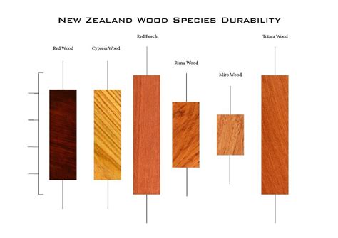 Durability Graph Of New Zealand Wood Species Wood Species Cypress