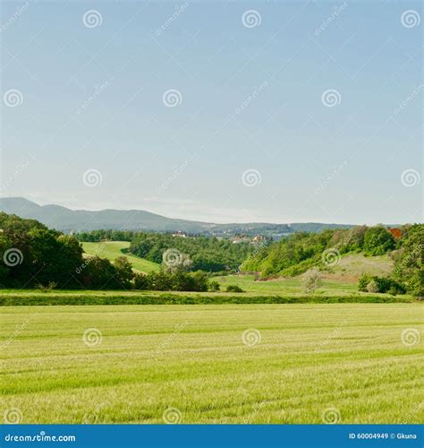 Green Meadows Stock Image Image Of Ground Country Path 60004949