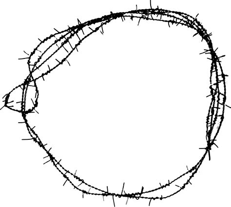 Barbed Wire Png Transparent Image Download Size 2000x1795px