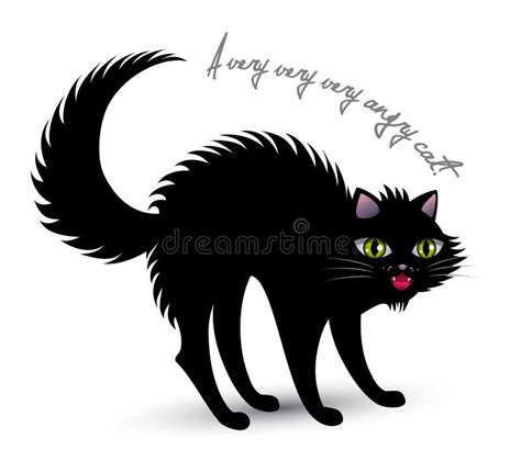 Angry Cat Stock Vector Illustration Of Cool Design 16879746