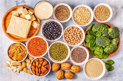 High protein low carb cat food contains all felines need and nothing they don't. 10 Healthy High Protein Foods You Need To Know | Zippy Writers