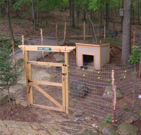 Premium+ big dutch barn chicken coop with pen. Raising Chickens for Eggs: Our Urban Chicken Coop | HubPages