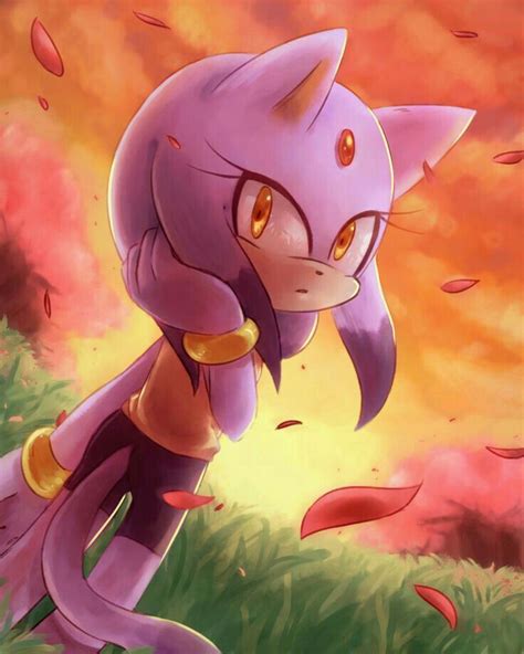 Pin By Shadow On Blaze The Cat Sonic Fan Art Sonic Art Silver The