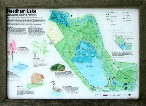 Map Of Needham Lake John In Pink Flickr