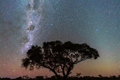 Night In The Outback Photograph By Steve Luther