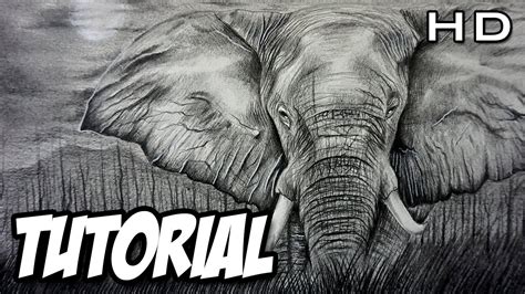 Cómo Dibujar Un Elefante Realista A Lápiz Paso A Paso Tutorial Youtube