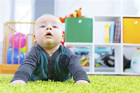 Baby Boy Crawling Stock Image F0213751 Science Photo Library