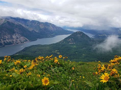 5 Beautiful Hiking Trails In Washingtons Columbia River Gorge