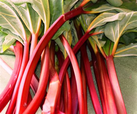 what exactly is rhubarb — feast of eden cooks at home rhubarb cook at home different recipes
