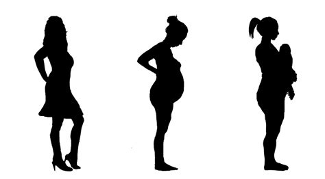 Download Pregnant Pregnancy Silhouette Royalty Free Stock Illustration