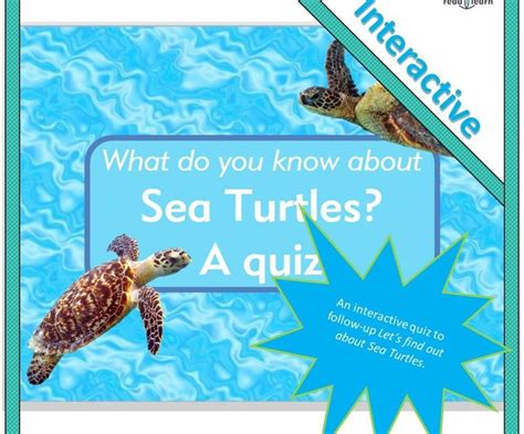 What Do You Know About Sea Turtles A Quiz Readilearn Quiz Design