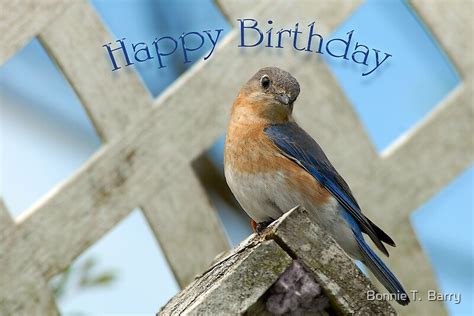 Happy Birthday Bluebird By Bonnie T Barry Redbubble