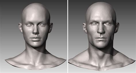 Realistic White Male And Female Head Bundle 3d Model