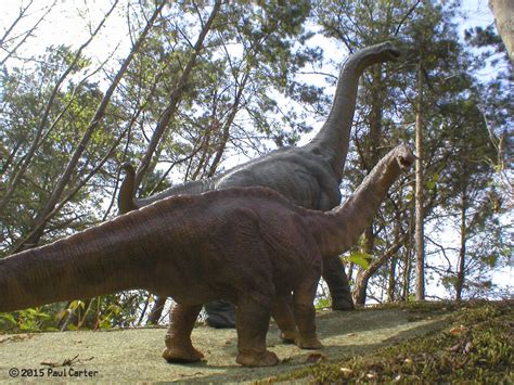 Apatosaurus And Brachiosaurus By Carnosaur On Deviantart