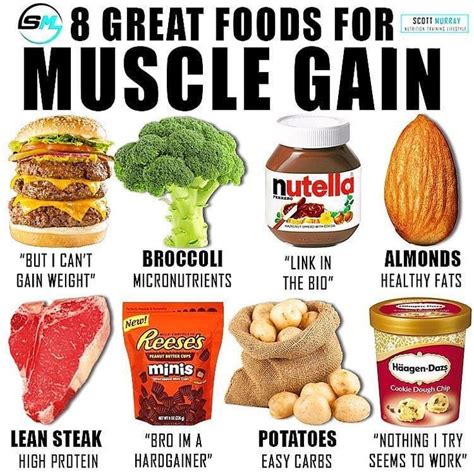 Repost Albygonzalezfitness 🔴foods For Muscle Gains🔴 By