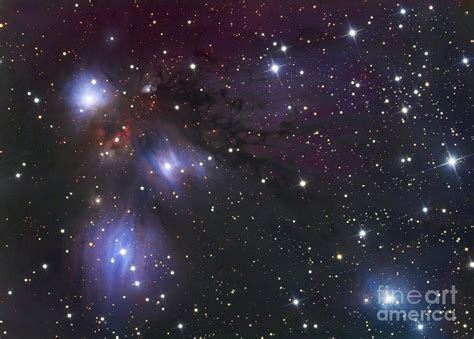 Ngc 2170 A Reflection Nebula Located Photograph By Robert Gendler Pixels