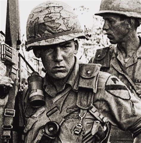 Vietnam Vietnam History Vietnam War Photos Army Infantry Cavalry