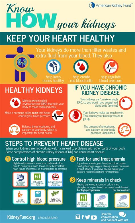 Did You Know That Your Kidneys Help American Kidney Fund Facebook