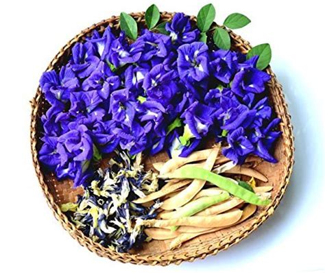 One writer tried butterfly pea flower tea in thailand and learned it's good for more than just its pretty blue hue. Blue-tee 100% Butterfly Pea Flower Tea - Buy Online in UAE ...
