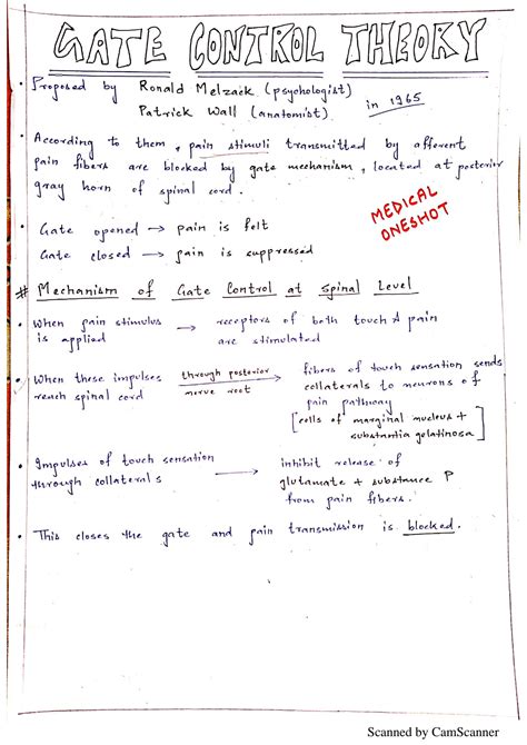 Solution Gate Control Theory Handwritten Notes Studypool