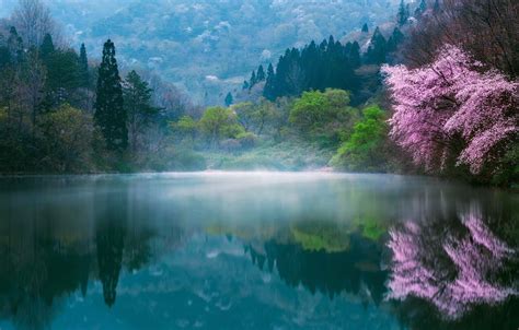 Spring Lakes And Flowers Wallpapers Wallpaper Cave
