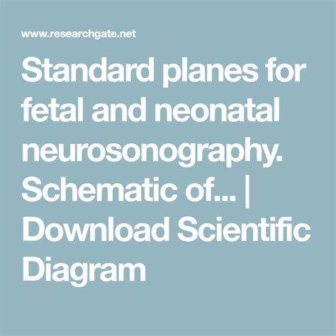 Standard Planes For Fetal And Neonatal Neurosonography Schematic Of