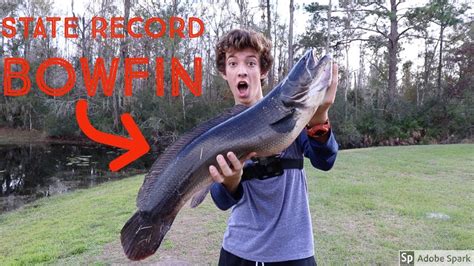 Caught The Biggest Bowfin In The State Of Florida Set The State