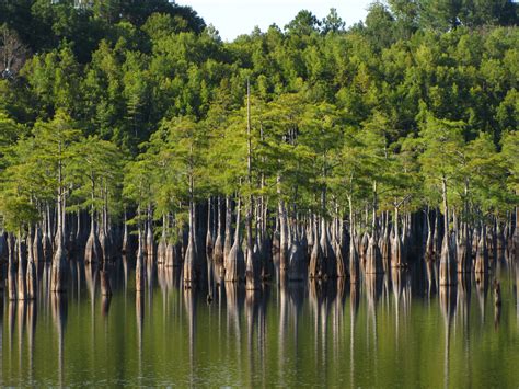 9 State Parks In Georgia That You Have To Visit For The Scenery