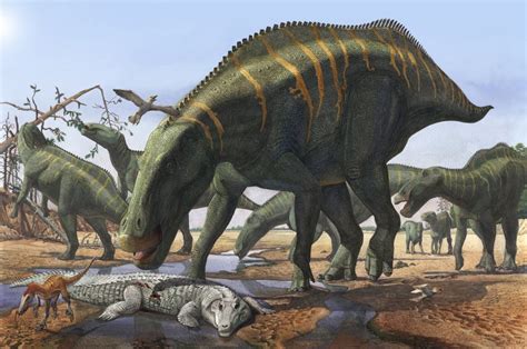 A Herd Of Shantungosaurus Dinosaurs From The Late Cretaceous Period In