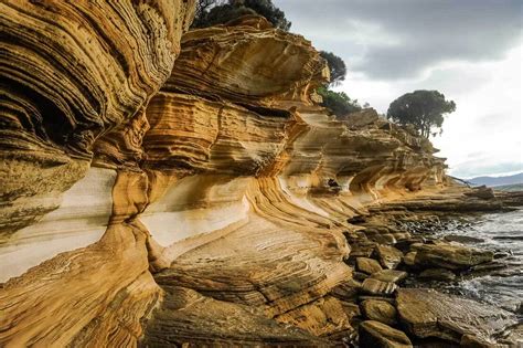 Walk On The Wild Side Maria Island In Tasmania ∞ Anywayinaway