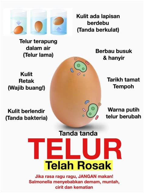 Fiszkoteka, your checked malaysian english dictionary! Awas Keracunan Telur Tamat Tempoh! - Layanlah!!! | Berita ...