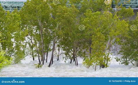 Water Trees Dam Currents Stock Photo Image Of County 76256698