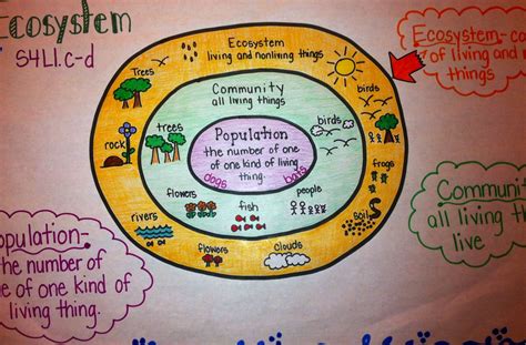 Ecosystem Anchor Chart Science Anchor Charts Fourth
