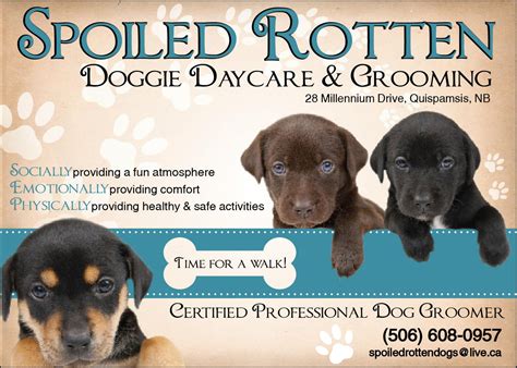 Spoiled Rotten Doggie Daycare And Grooming Dog Daycare Dog Walking