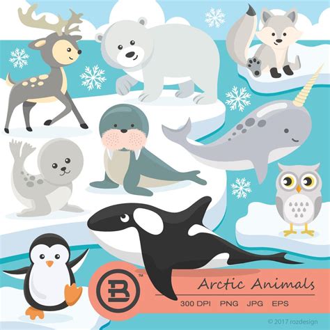 Arctic Animals Clipart Polar Bear Vector Graphics Penguin Digital