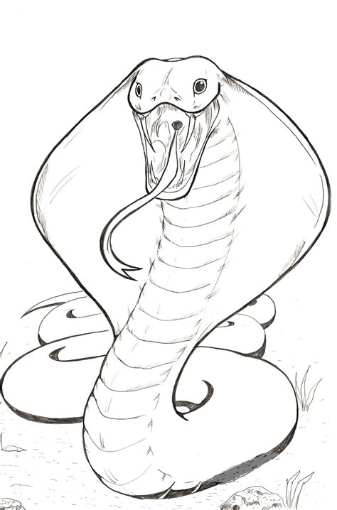 Anaconda Coloring Pages Viewing Gallery For King Cobra Coloring Pages