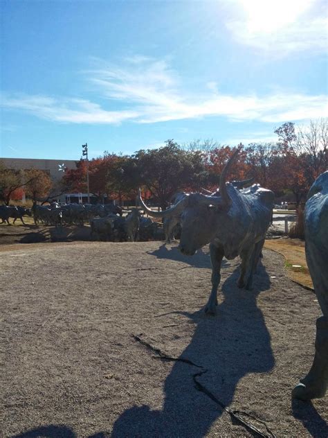 A sudden headlong rush or flight of a crowd of people. The Adventures of Blogger Mike: Cattle Stampede - Dallas, TX