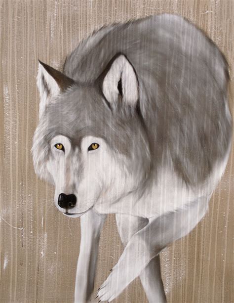 Grey Wolf Grey Wolf Contemporary Animal Painter Threatened Species