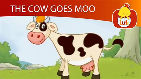 Moo Moo Cow