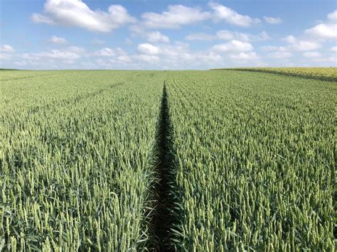 See more of transport persoane si colete romania germania franța on facebook. Top producatori de grau, in UE. Franta si Germania ocupa ...